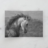 スタリオンワイルドホースグリーティングカード カード (内部)