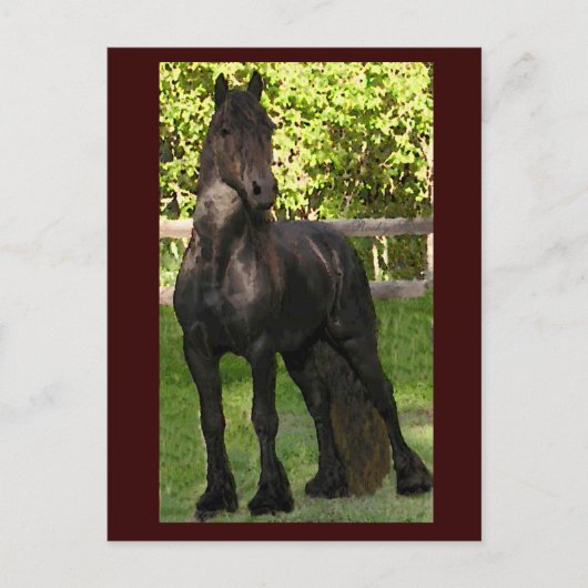 スタリオン絵を描はがき ポストカード (正面)