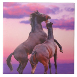 スタリオン遊ズタイル タイル