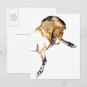 スタリオン ポストカード (正面/裏面)