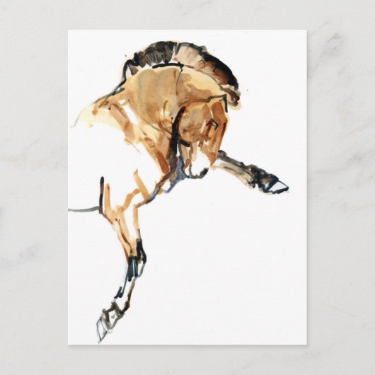 スタリオン ポストカード (正面)