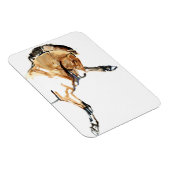 スタリオン マグネット (右側)