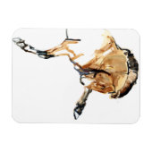 スタリオン マグネット (横)