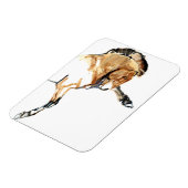 スタリオン マグネット (左側)