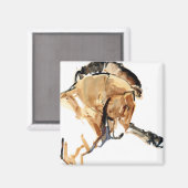 スタリオン マグネット (正面/裏面)