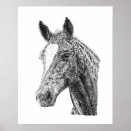 スタリオン 牡馬 馬の顔 白い流星 エクインアート ポスター