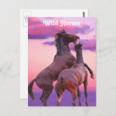 スタリ遊オン葉書 ポストカード (正面/裏面)