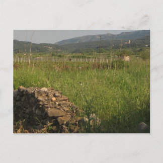 スタリ・グラード平原 ポストカード
