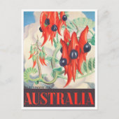 スタルトデザートピーオーストラリアのヴィンテージ旅行 ポストカード (正面)