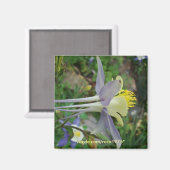 スタンザディヴェデーレ マグネット (正面/裏面)