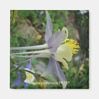 スタンザディヴェデーレ マグネット