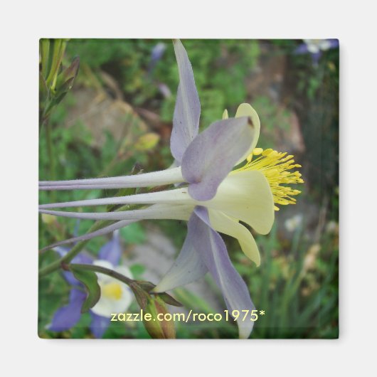 スタンザディヴェデーレ マグネット (正面)