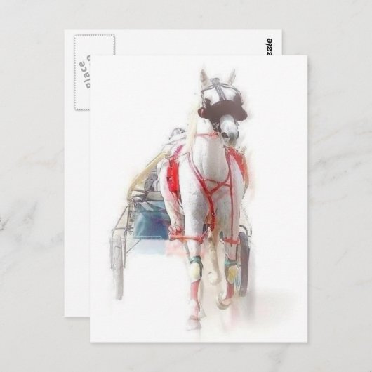 スタンダードブレッド種の馬 ポストカード (正面/裏面)