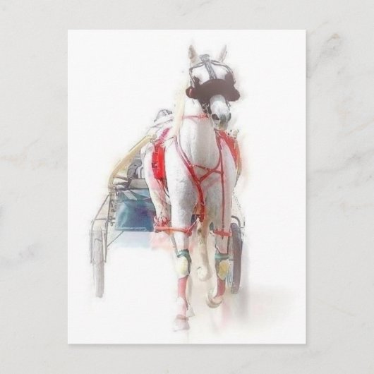 スタンダードブレッド種の馬 ポストカード (正面)