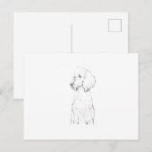 スタンダードプードルのイラスト ポストカード (正面/裏面)