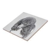 スタンダードプードルブラックパ絵画ティの曲 – Dog Art タイル (側面)