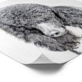 スタンダードプードルブラックパ絵画ティの曲 – Dog Art ポスター (角)