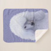 スタンダードプードル絵画ホワイトの – オリジナルドッグアート シェルパブランケット (正面(横))