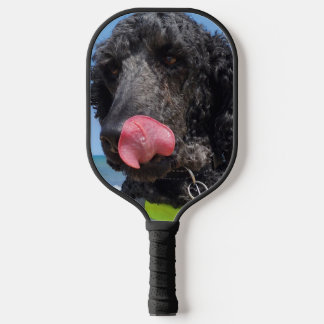 スタンダードプードル ピックルボールラケット
