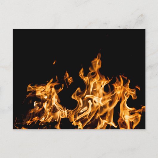 スタンダードポストカード ポストカード (正面)