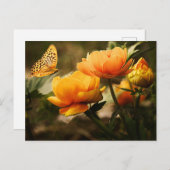 スタンダードポストカード ポストカード (正面/裏面)