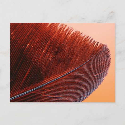 スタンダードポストカード ポストカード (正面)