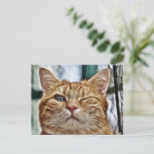 スタンダードポストカード ポストカード (スタンド正面)