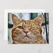 スタンダードポストカード ポストカード (正面/裏面)