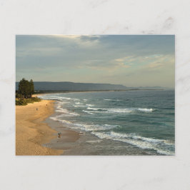 スタンダードポストカード ポストカード