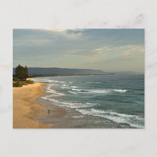 スタンダードポストカード ポストカード (正面)