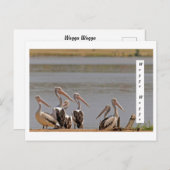 スタンダードポストカード ポストカード (正面/裏面)