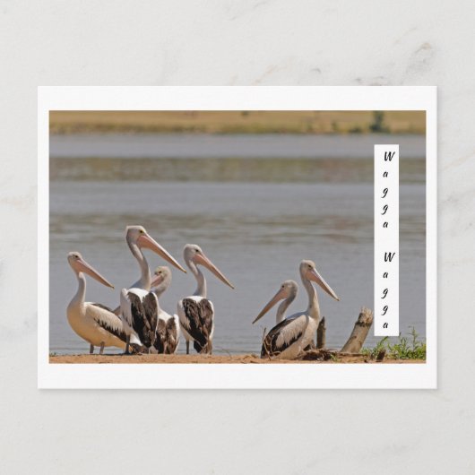 スタンダードポストカード ポストカード (正面)