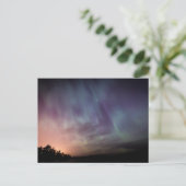 スタンダードポストカード ポストカード (スタンド正面)