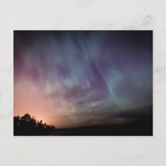 スタンダードポストカード ポストカード (正面)