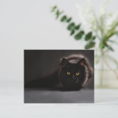 スタンダードポストカード ポストカード (スタンド正面)