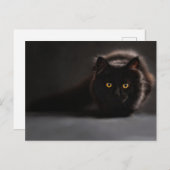 スタンダードポストカード ポストカード (正面/裏面)