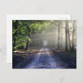 スタンダードポストカード ポストカード (正面/裏面)