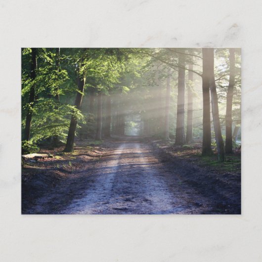 スタンダードポストカード ポストカード (正面)