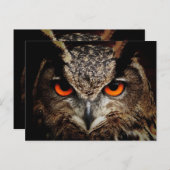 スタンダードポストカード ポストカード (正面/裏面)