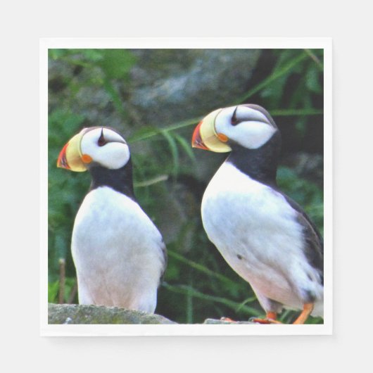 スタンダードルンチョン紙ナプキンとパフィン スタンダードランチョンナプキン (正面)