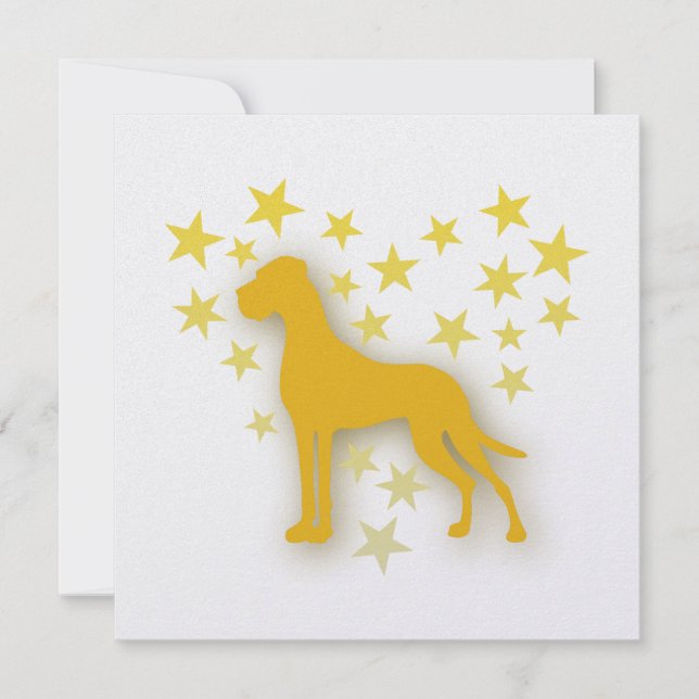 スタンチェンハーゼヌッジ (正面)