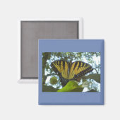 スタンディングイエロー（昆虫）オオカバマダラ、モナーク マグネット (正面/裏面)