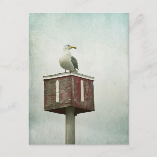 スタンディングガード ポストカード (正面)