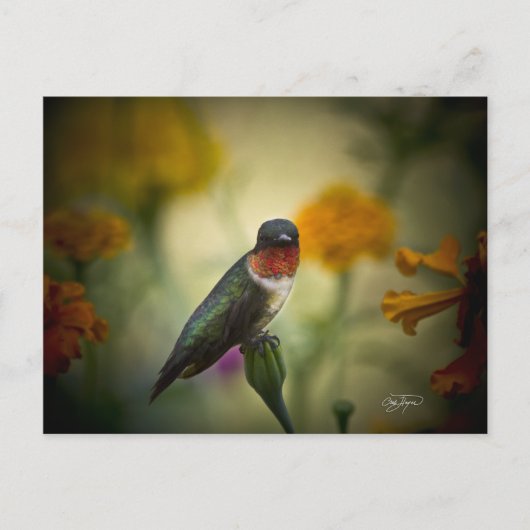 スタンディングガード ポストカード (正面)