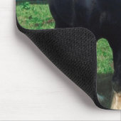 スタンディングシャイア マウスパッド (コーナー)