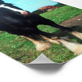 スタンディングシャー ポスター (角)