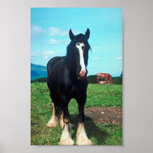 スタンディングシャー ポスター (正面)