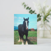 スタンディングシャー ポストカード (スタンド正面)