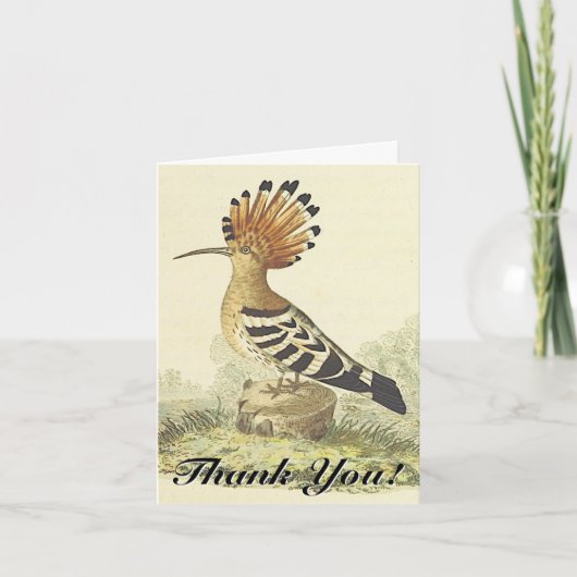スタンディングバード、ヴィンテージスタイル、"ありがとう！" カード (正面)
