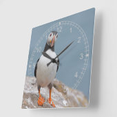 スタンディングパフィン スクエア壁時計 (傾斜)